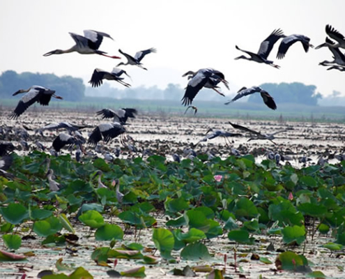 Nakhon Sawan en tailandia