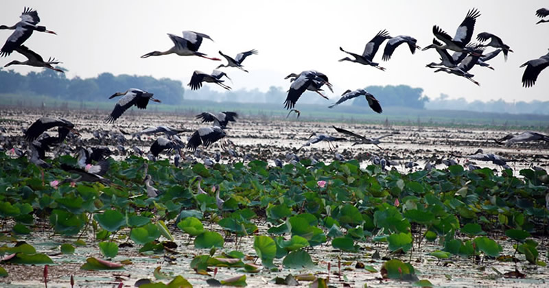 Nakhon Sawan en tailandia